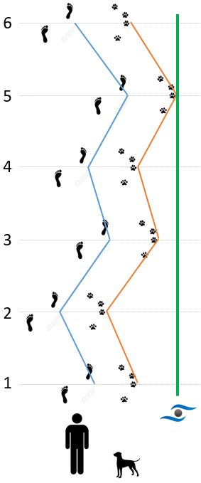 Abbildung 1: Gassi gehen mit Blindenhund. Die blaue Linie beschreibt den Weg des Hundehalters, die Orange den des Hundes. Die Grüne Line ist die Referenzlinie, von welcher aus der Abstand zur jeweiligen Position (Hund und Mensch) zu sechs Beobachtungszeitpunkten gemessen wurde.